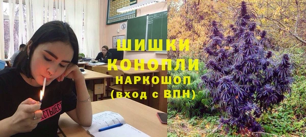 прущие грибы Балабаново