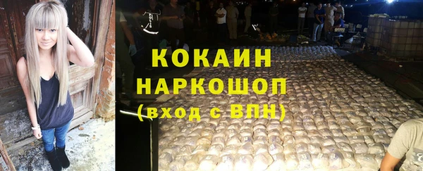 шишки Беломорск