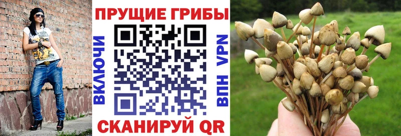 мега зеркало Куса Галлюциногенные грибы ЛСД